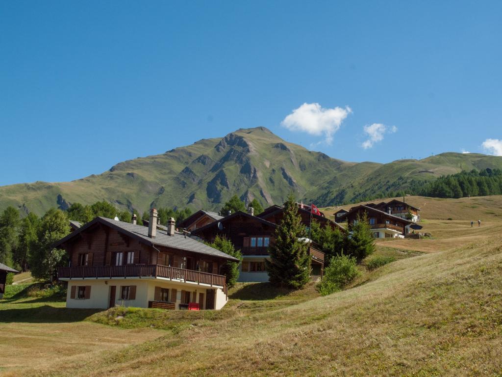 Chalet Fridi Rosswald ภายนอก รูปภาพ